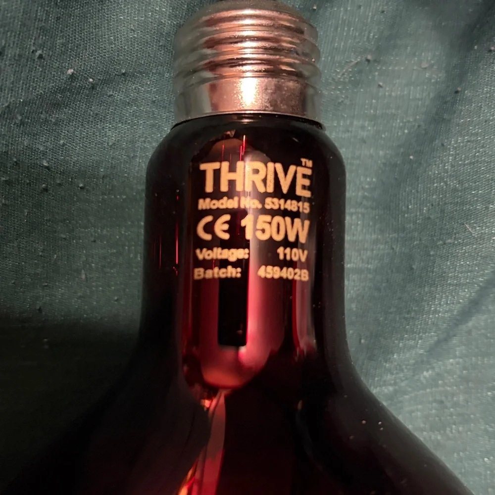 🖤Thrive 150 Watt Reptile Infrared Heating Bulb🖤